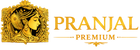 Translation missing: en.Pranjal Premium accessibility.home